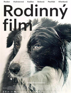 不再执念爱情后我逆光重生