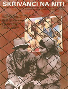 塞利纳淫乱的瑜伽课程