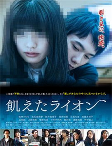 女婿回乡全村风光