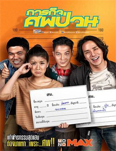 杨门女将天波府风波