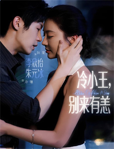 老练律师 第一季