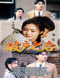 完美先生和差不多小姐越南语版